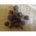 Guarana