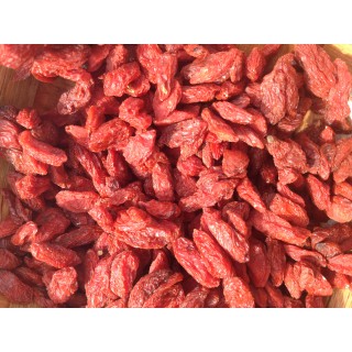 GOJI Biologique des Haut-Plateaux