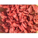 GOJI Biologique des Haut-Plateaux