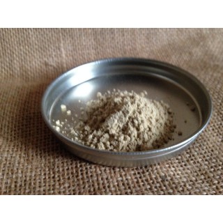 Gok shura ( Tribulus terrestris ) Gok shura ( Tribulus terrestris )