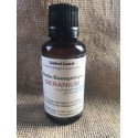 Geranium bourbon