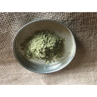 Moringa 