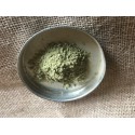 Moringa 