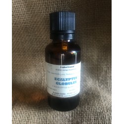 HECT Eucalyptus radié