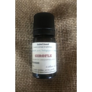 HECT Girofle ( clou )