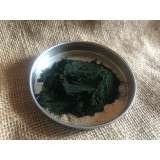 Chlorella 